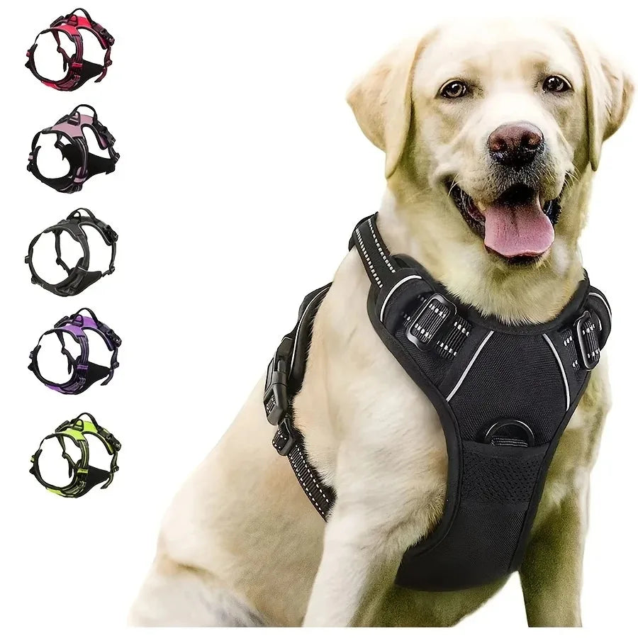 Colliers, harnais, laisses et accessoires pour chiens (toutes tailles) – Tout pour les chiens : cuir, modèles pour chiots, petits et grands chiens.
