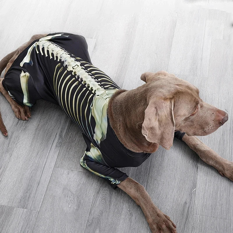 Costume d'Halloween pour chien – Tenue de transformation en squelette – Vêtement confortable et stylé pour grands chiens – Accessoires pour animaux