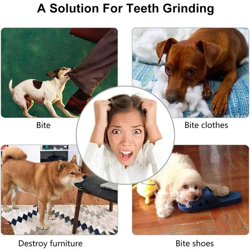 Balle-jouet pour chien, résistante aux morsures et non toxique (pour chiens, chiots et chats) ; balle distributrice de friandises et jouet à mâcher pour le nettoyage des dents .