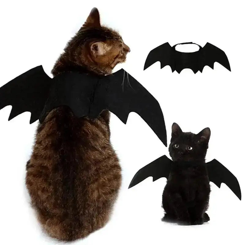 Vente en gros : Costume de cosplay mignon pour animal (chat/chien) – Ailes de chauve-souris noires avec sangle de sécurité – Accessoire pour jeux de rôle et décoration de fête d'Halloween.