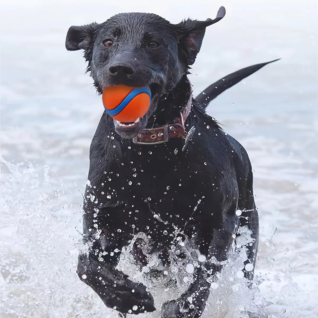 Balle à mâcher durable en silicone pour chien – Jouet interactif pour races moyennes, nettoyage des dents et plaisir de jeu