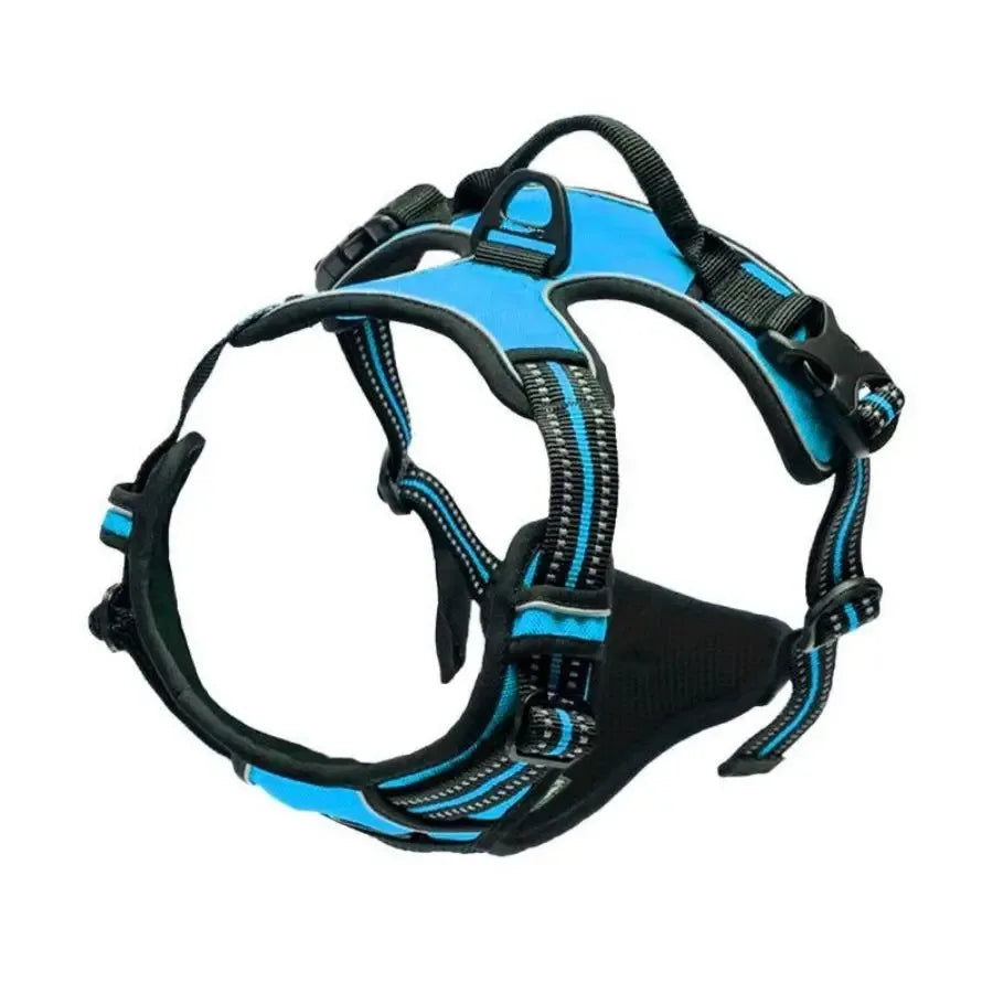 Colliers, harnais, laisses et accessoires pour chiens (toutes tailles) – Tout pour les chiens : cuir, modèles pour chiots, petits et grands chiens.
