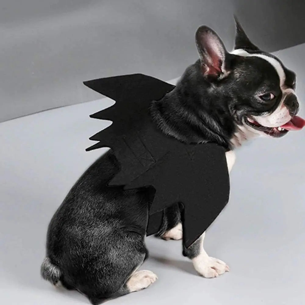 Vente en gros : Costume de cosplay mignon pour animal (chat/chien) – Ailes de chauve-souris noires avec sangle de sécurité – Accessoire pour jeux de rôle et décoration de fête d'Halloween.