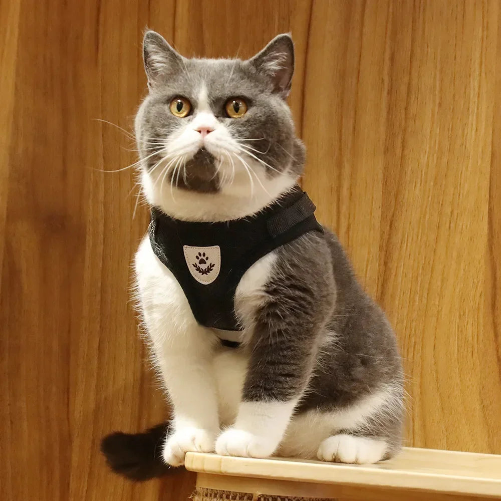 Ensemble harnais et laisse pour chat – Réglable, réfléchissant et anti-évasion – Harnais-gilet en maille respirante, collier pour chiot ou petit chien – Accessoires pour animaux