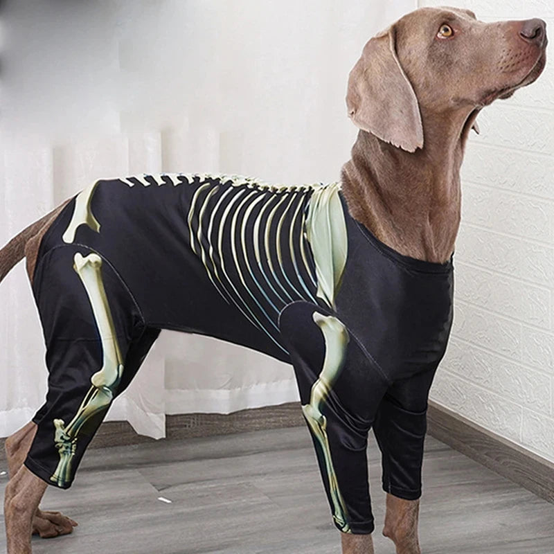 Costume d'Halloween pour chien – Tenue de transformation en squelette – Vêtement confortable et stylé pour grands chiens – Accessoires pour animaux
