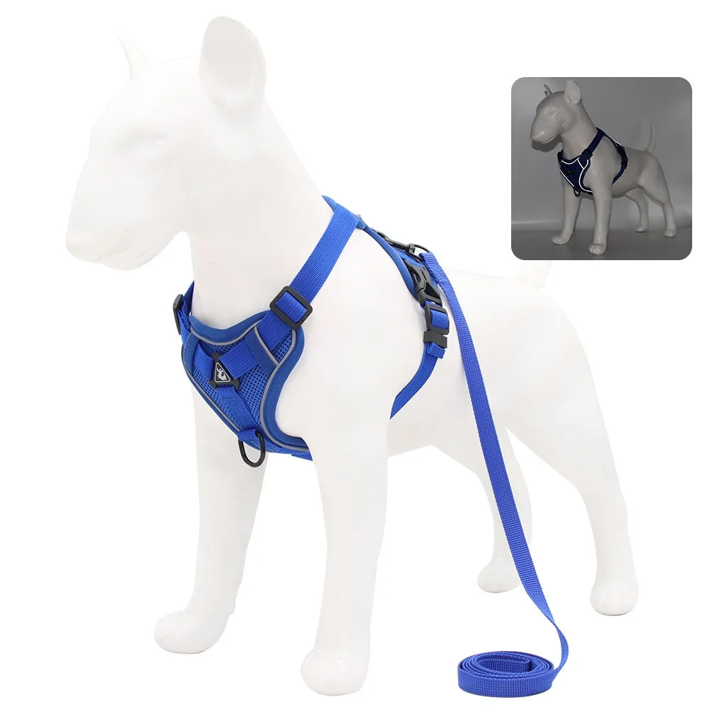 Ensemble harnais et laisse pour animaux – Harnais pour petits chiens
