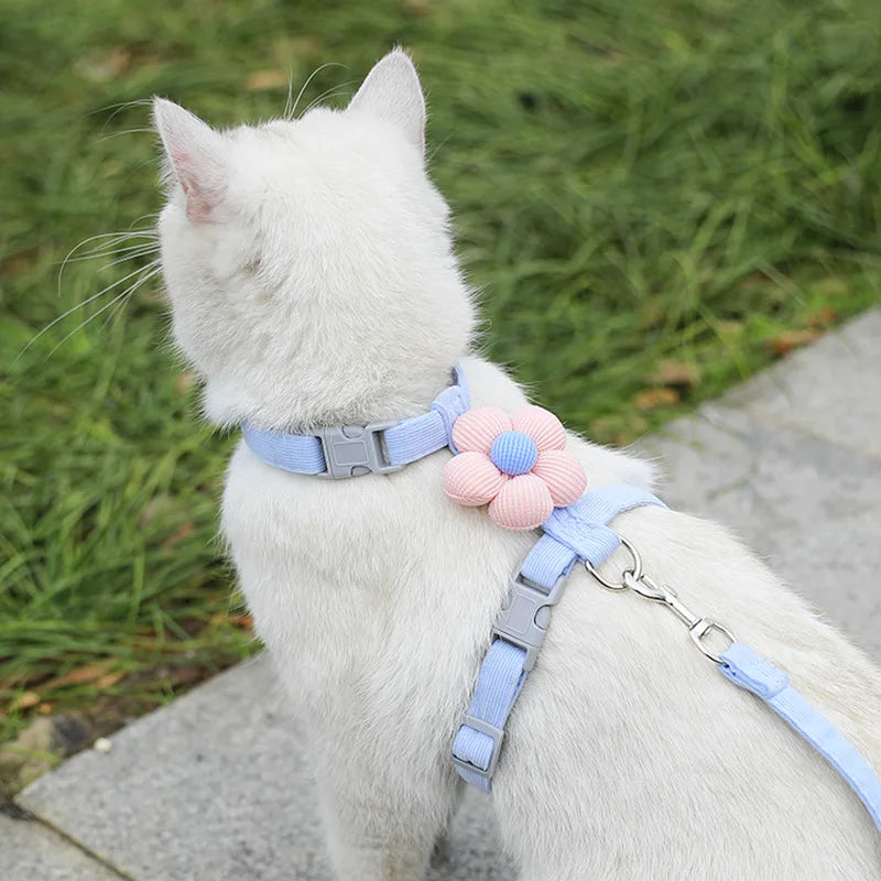 Ensemble harnais et laisse pour chat ou petit chien – Harnais réglable et respirant pour promenades