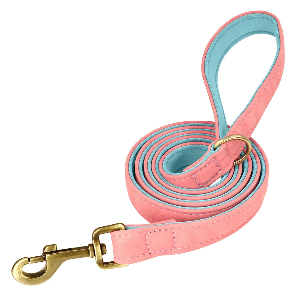 Ensemble collier et laisse en cuir personnalisés pour chien – Collier en cuir souple et rembourré pour chiens de petite, moyenne et grande taille – Plaque nominative gravée offerte