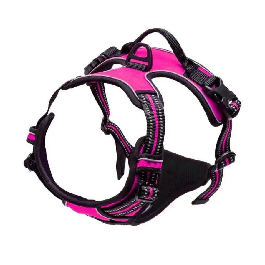 Colliers, harnais, laisses et accessoires pour chiens (toutes tailles) – Tout pour les chiens : cuir, modèles pour chiots, petits et grands chiens.