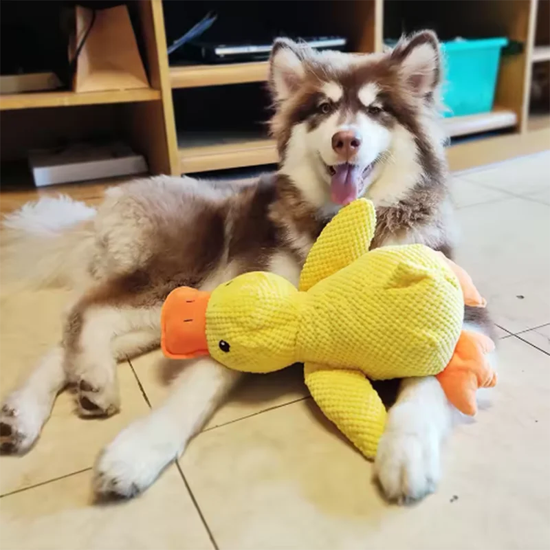 Jouet pour chien adorable en forme de canard : résistant aux morsures, idéal pour le nettoyage des dents et le jeu interactif. Parfait pour divertir les grands chiens et occuper les chiots pour éviter l'ennui.