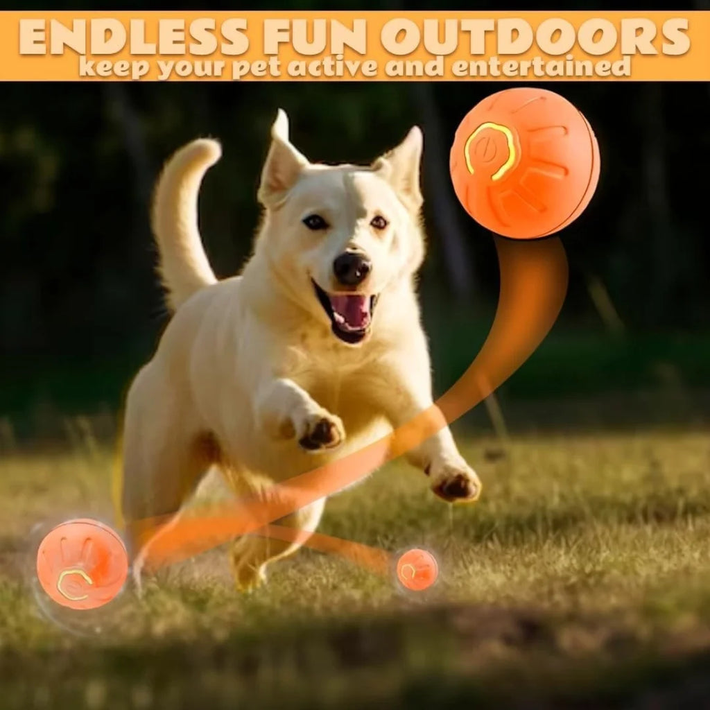 Jouet interactif pour animaux : balle électrique intelligente à rebond automatique (activée par gravité) pour chiens et chats