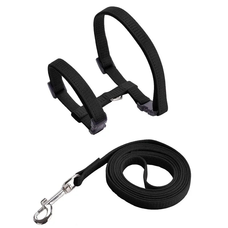Ensemble harnais et laisse pour chaton – Harnais réglable en nylon anti-évasion pour chats, chiots et lapins – Accessoires pour animaux