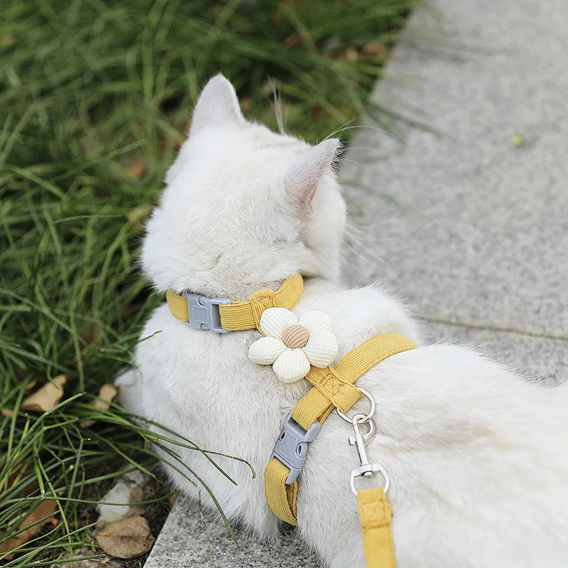 Ensemble harnais et laisse pour chat ou petit chien – Harnais réglable et respirant pour promenades