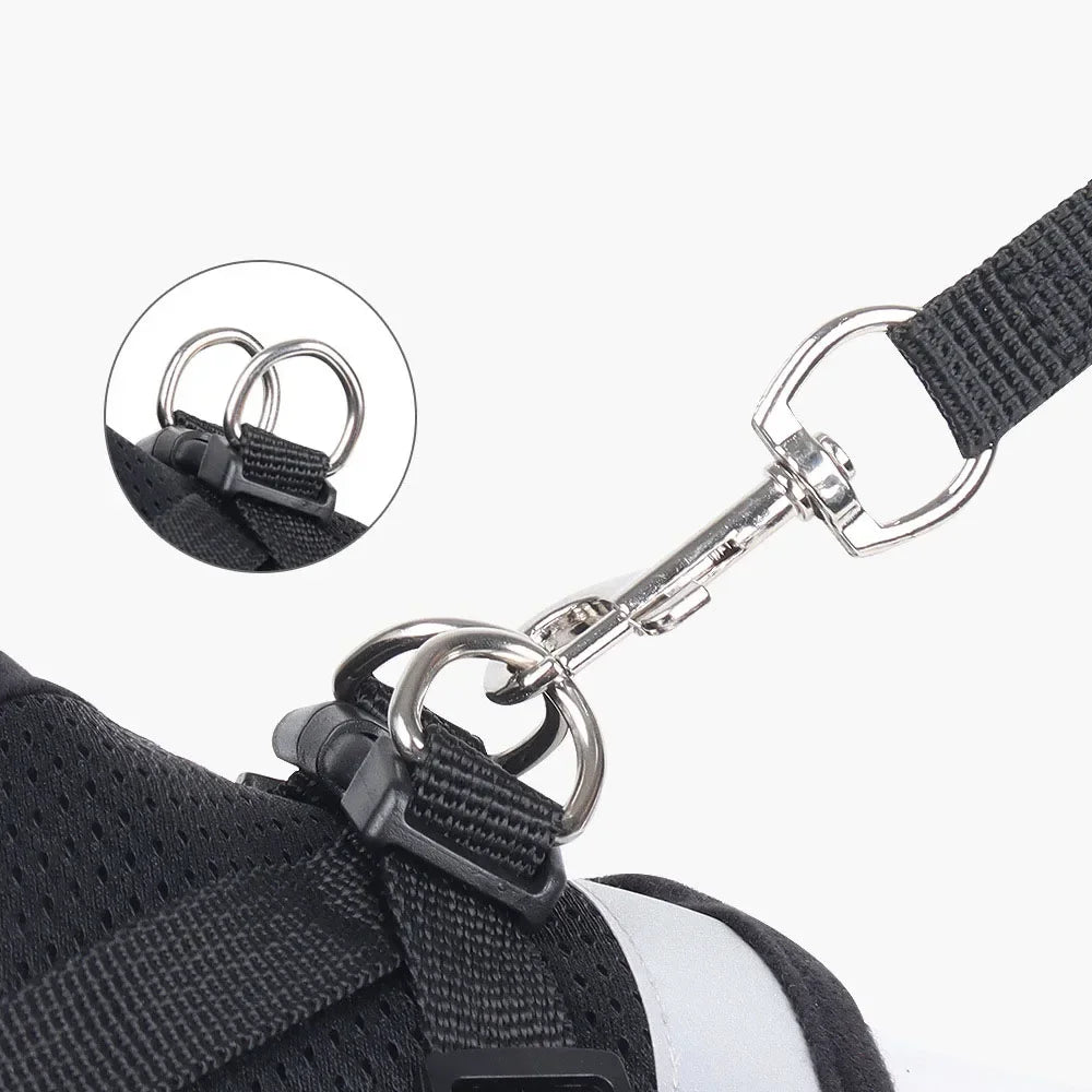 Ensemble harnais et laisse pour chat – Réglable, réfléchissant et anti-évasion – Harnais-gilet en maille respirante, collier pour chiot ou petit chien – Accessoires pour animaux