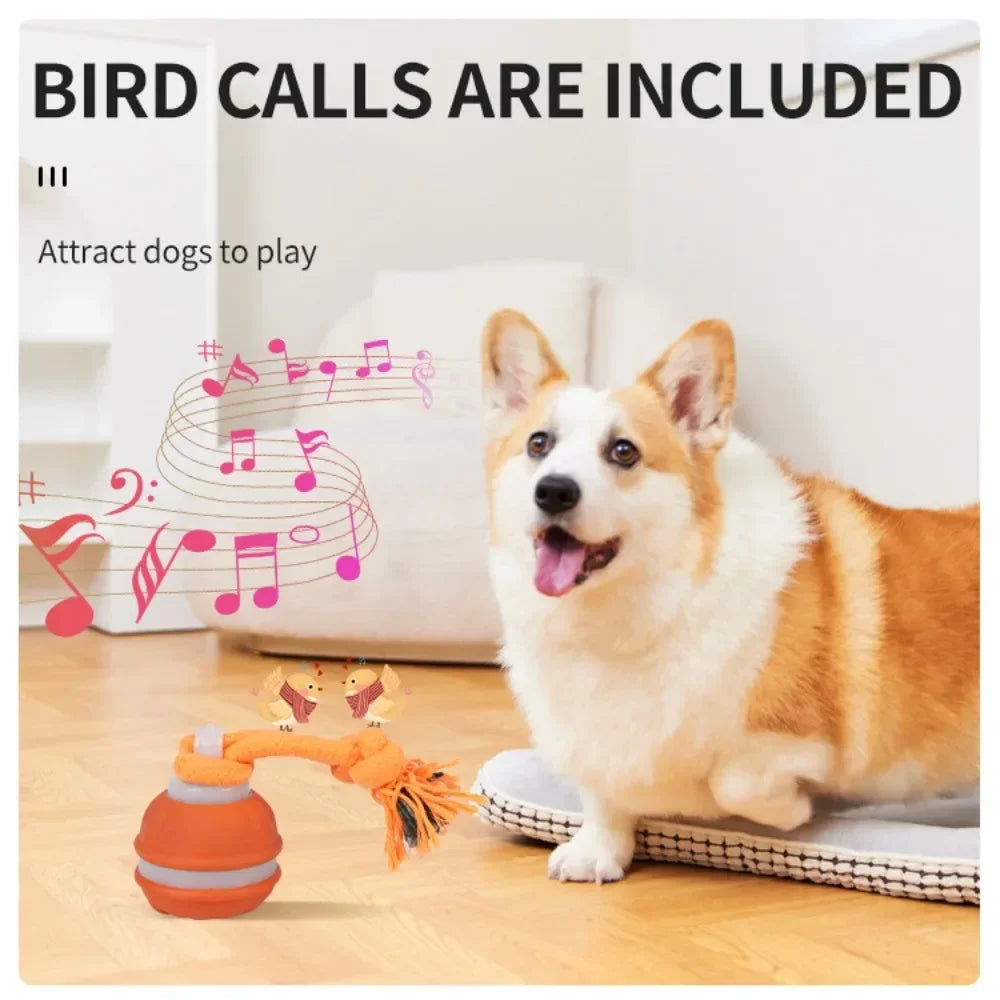 Jouet interactif pour chiens : balle roulante activée par le mouvement pour chiots et petits chiens – Jouet à déplacement automatique rechargeable par USB