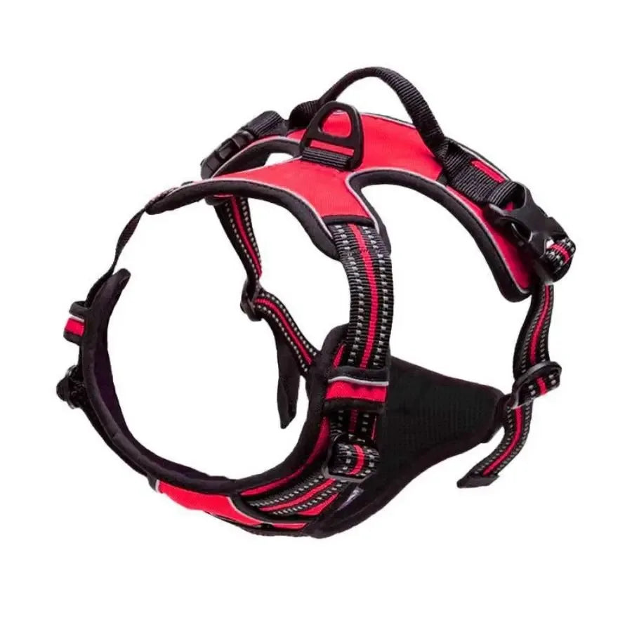Colliers, harnais, laisses et accessoires pour chiens (toutes tailles) – Tout pour les chiens : cuir, modèles pour chiots, petits et grands chiens.
