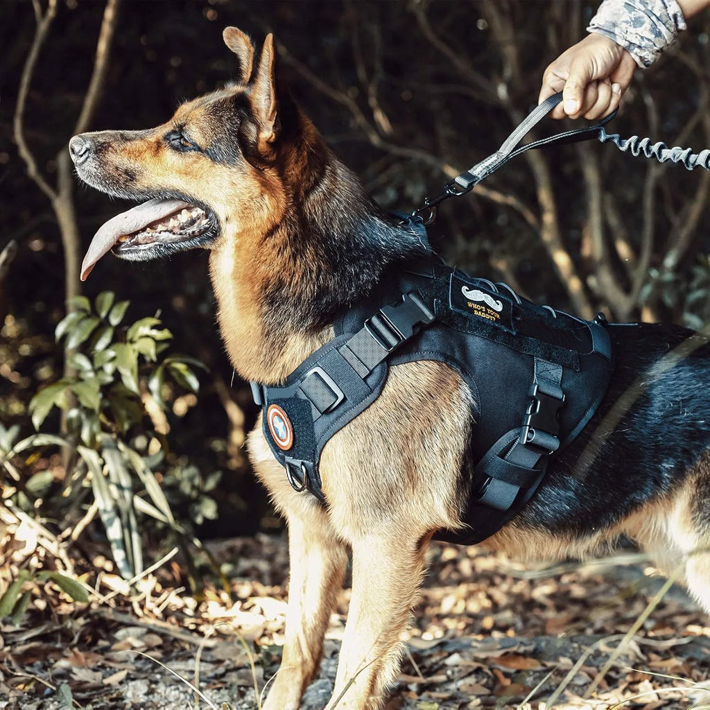 Harnais pour chien, harnais tactique avec poignée, gilet anti-traction pour chien d'assistance avec panneaux auto-agrippants, harnais réglable pour chien .