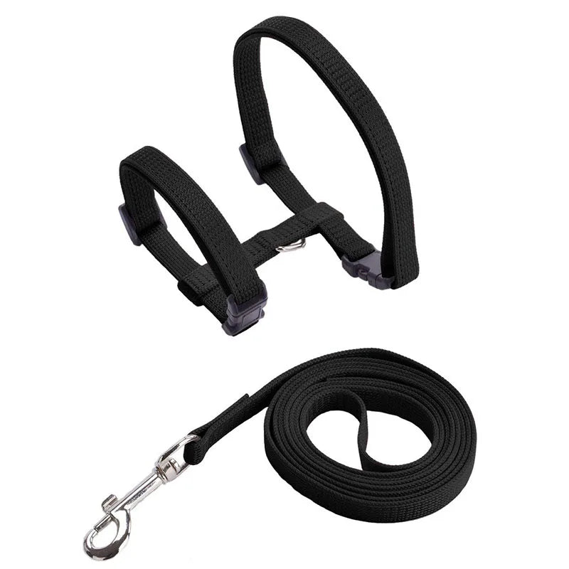 Ensemble harnais et laisse pour chaton – Harnais réglable en nylon anti-évasion pour chats, chiots et lapins – Accessoires pour animaux