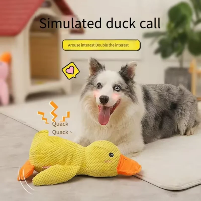 Jouet pour chien adorable en forme de canard : résistant aux morsures, idéal pour le nettoyage des dents et le jeu interactif. Parfait pour divertir les grands chiens et occuper les chiots pour éviter l'ennui.