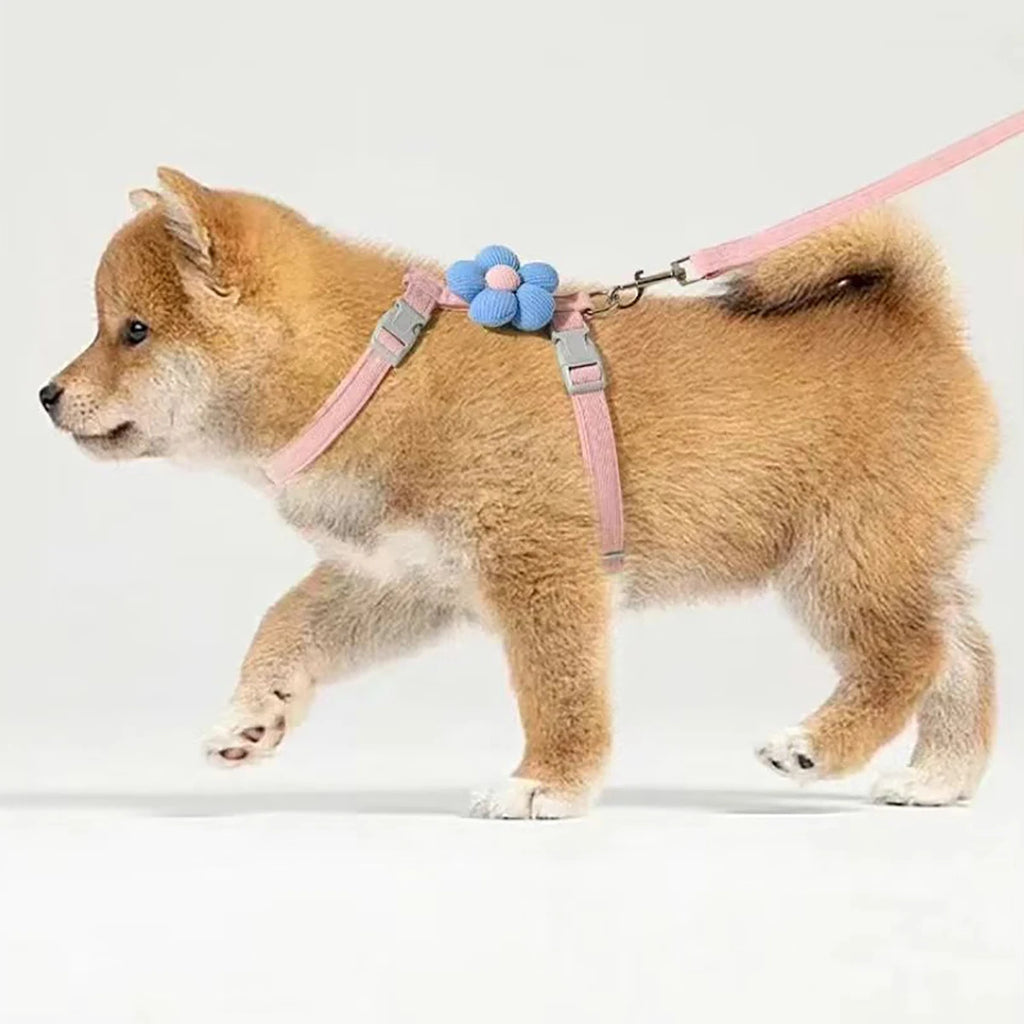 Ensemble harnais et laisse pour chat ou petit chien – Harnais réglable et respirant pour promenades