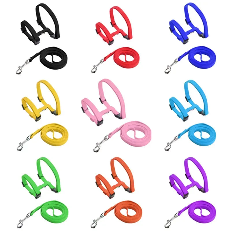 Ensemble harnais et laisse pour chaton – Harnais réglable en nylon anti-évasion pour chats, chiots et lapins – Accessoires pour animaux