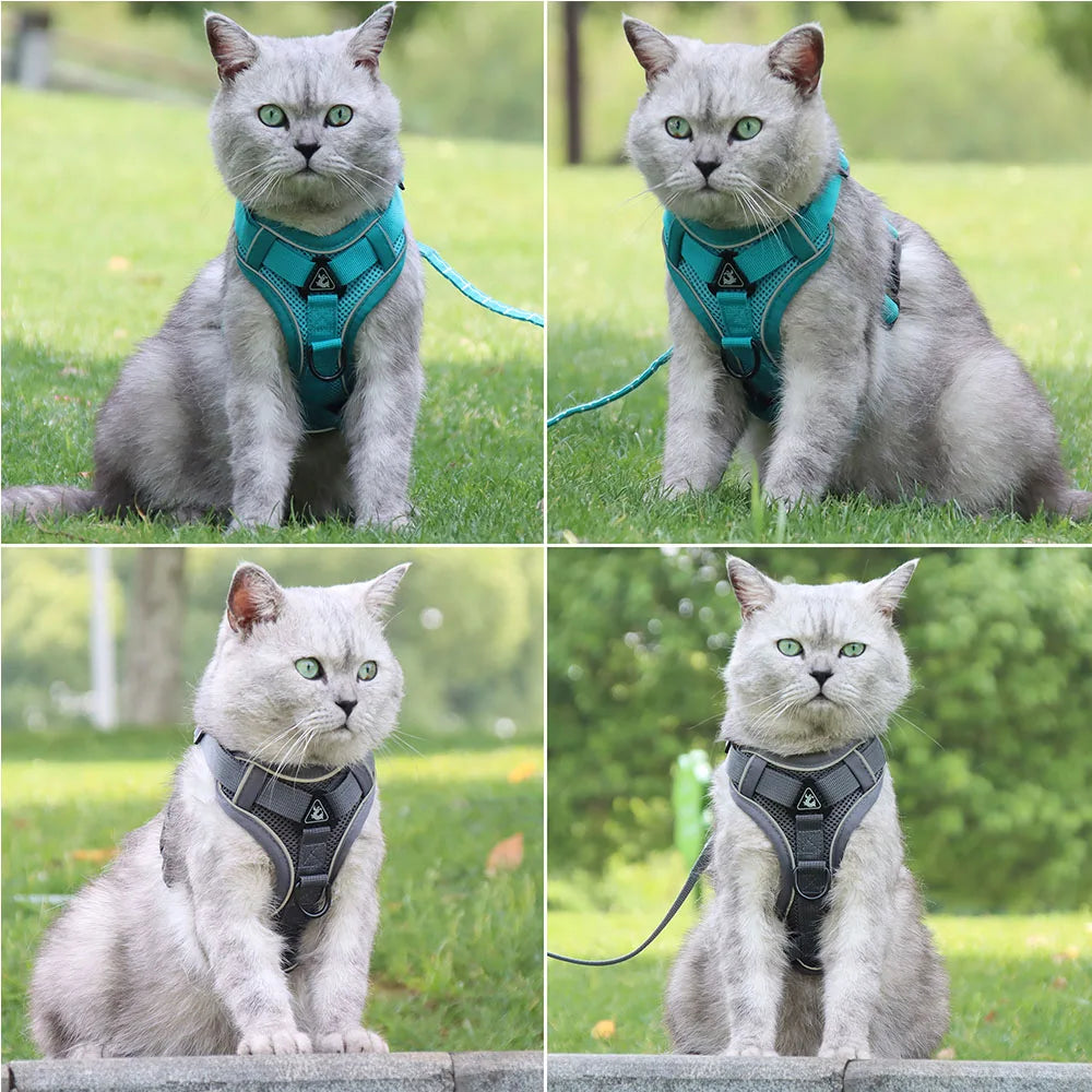 Ensemble harnais et laisse pour animaux – Harnais pour petits chiens