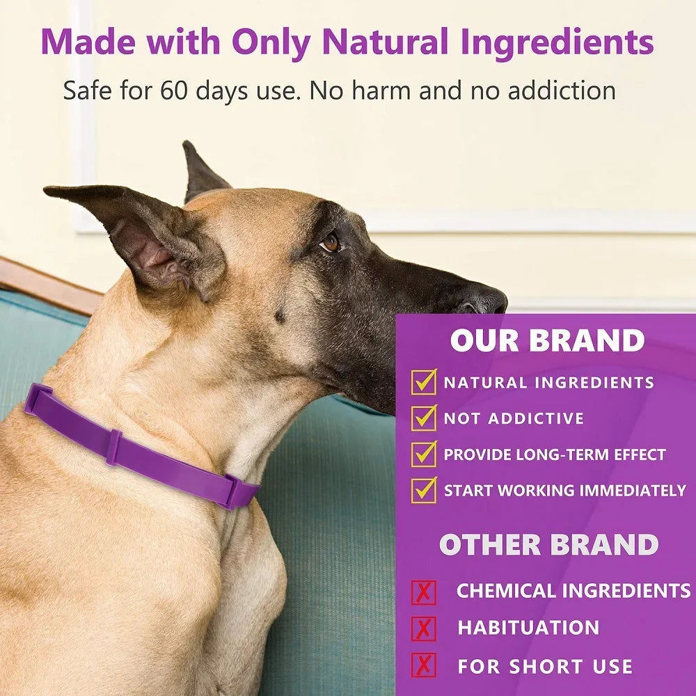 Collier apaisant aux phéromones pour chiens et chats – Réduit l'anxiété – Réglable, naturel et longue durée – Effet relaxant et apaisant