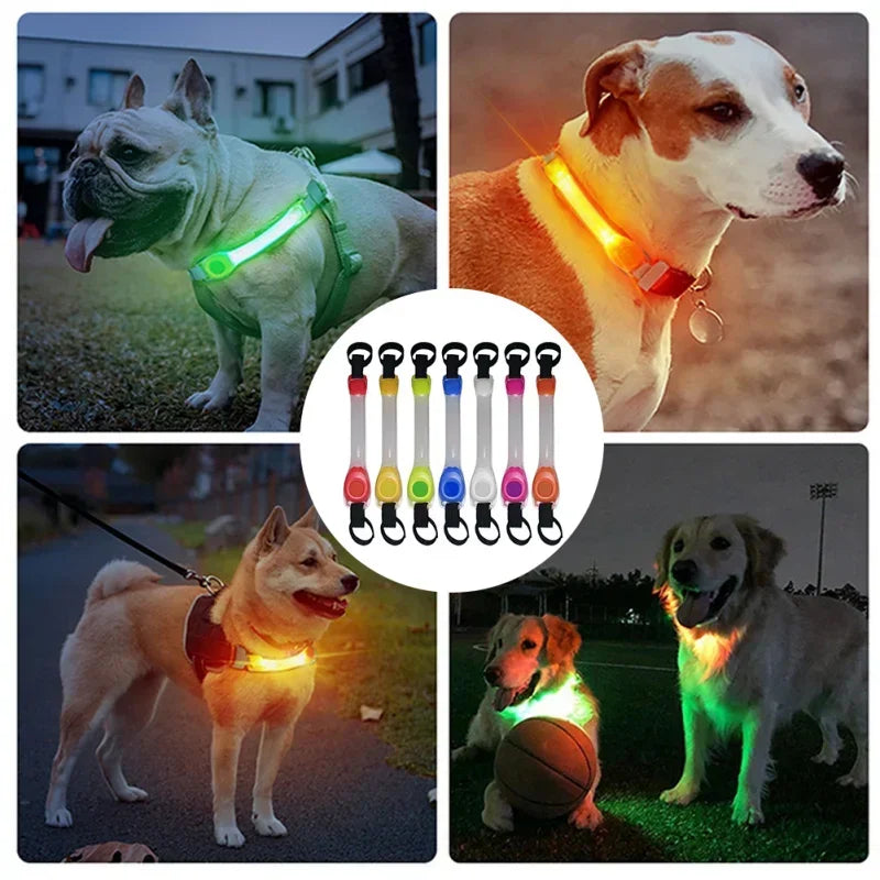 Collier de sécurité anti-perte pour chien avec pendentif lumineux multicolore, étanche, pour extérieur, avec bande lumineuse LED clignotante et accessoire de traction pour animaux de compagnie.