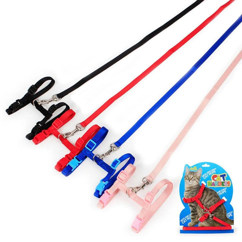 Ensemble harnais et laisse pour chaton – Harnais réglable en nylon anti-évasion pour chats, chiots et lapins – Accessoires pour animaux