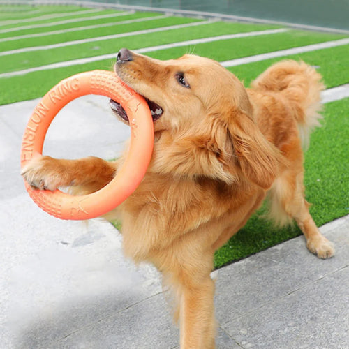 1 jouet orange pour chien – Anneau de traction volant et interactif en EVA pour le dressage, résistant