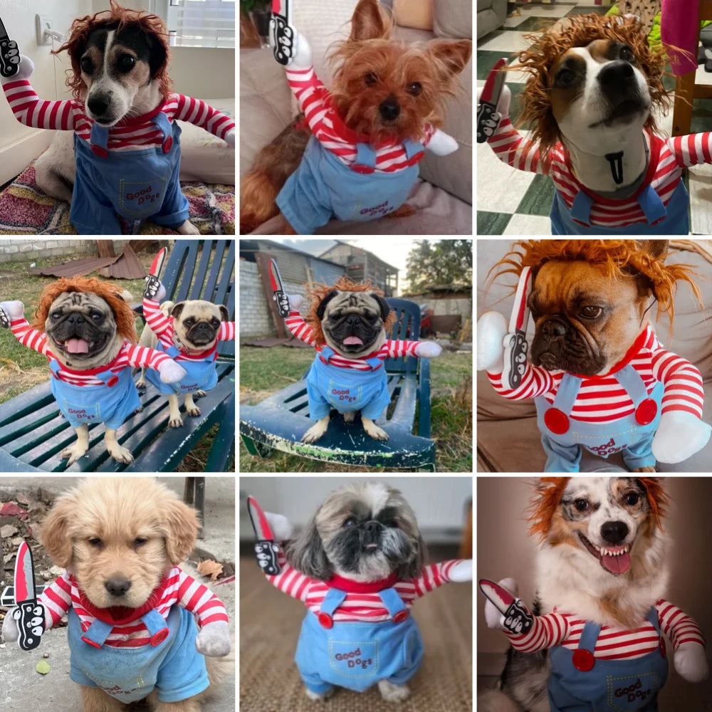Déguisement d'Halloween amusant pour animaux (chiens et chats) – Pull pour chiot ou petit/moyen/grand chien – Tenue de cosplay pour fête ou soirée costumée