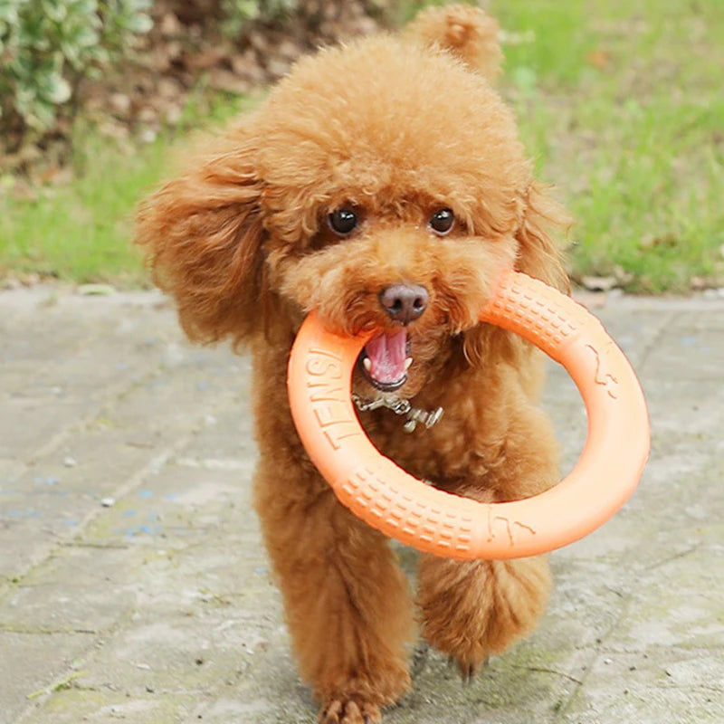 1 jouet orange pour chien – Anneau de traction volant et interactif en EVA pour le dressage, résistant