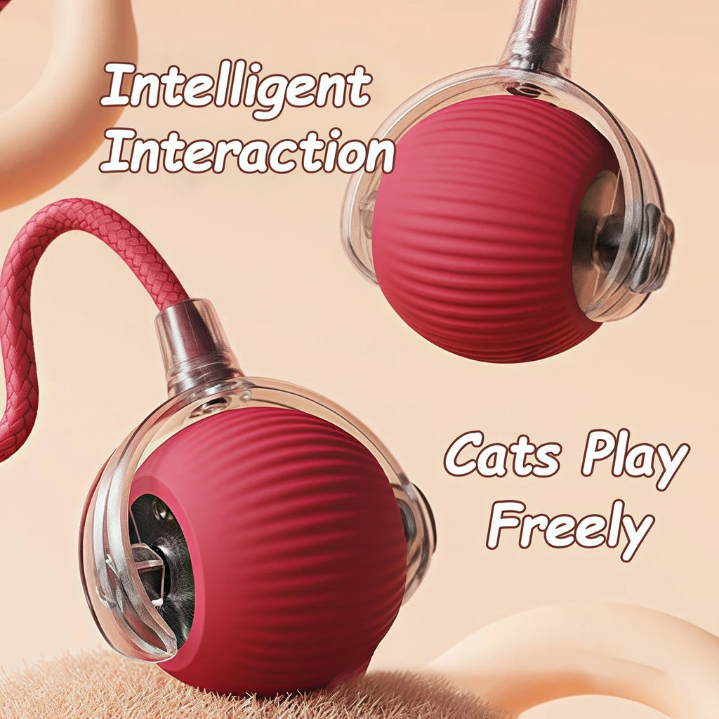 Nouveau jouet interactif pour chat : balle roulante automatique avec queue artificielle, rechargeable et intelligente, idéale pour le dressage des chiens et des chats (imite une souris)