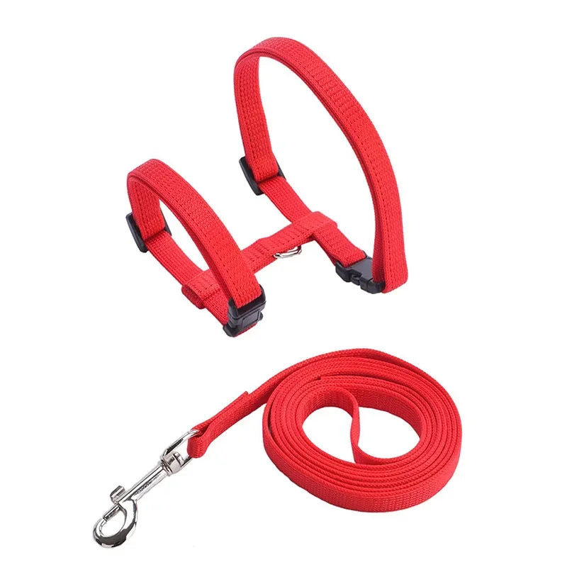 Ensemble harnais et laisse pour chaton – Harnais réglable en nylon anti-évasion pour chats, chiots et lapins – Accessoires pour animaux