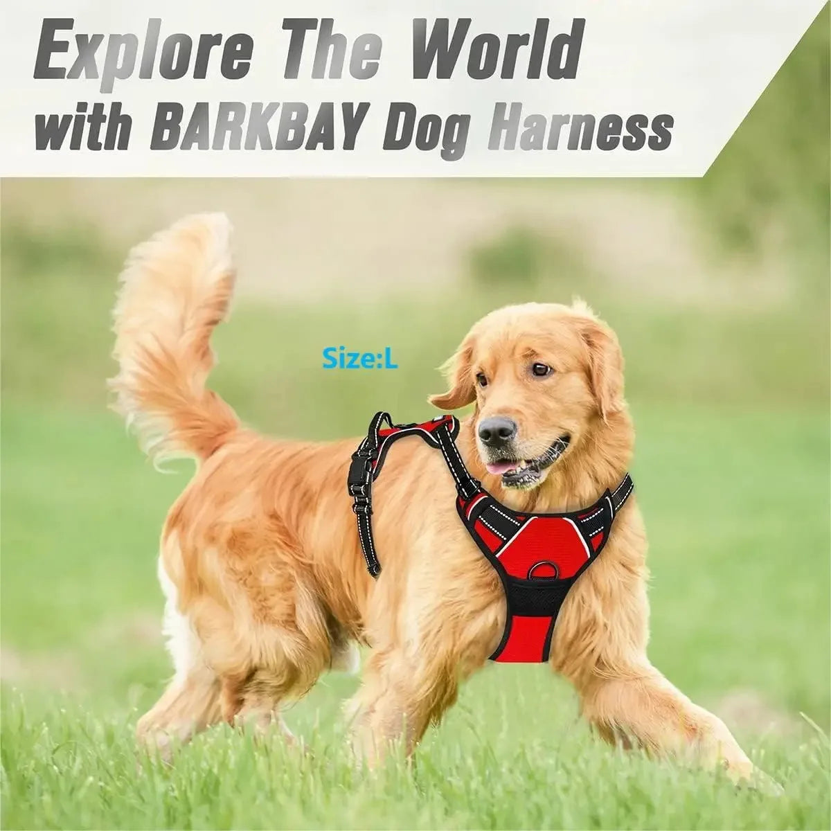 Colliers, harnais, laisses et accessoires pour chiens (toutes tailles) – Tout pour les chiens : cuir, modèles pour chiots, petits et grands chiens.