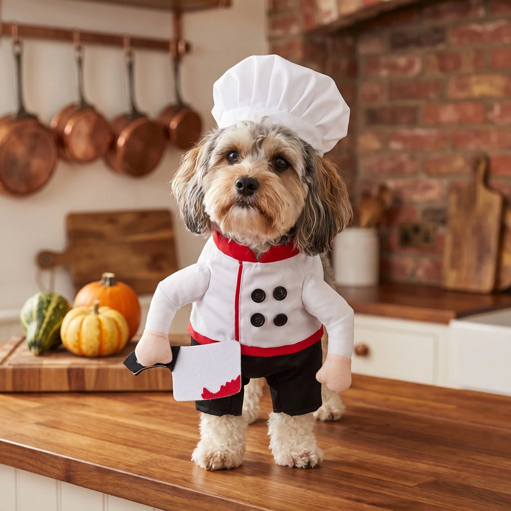 Costume de chef pour chien – Tenue de cosplay amusante avec toque – Déguisement mignon pour chiot, fête, vacances ou festival – Accessoire photo