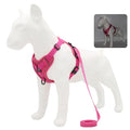 Ensemble harnais et laisse pour animaux – Harnais pour petits chiens