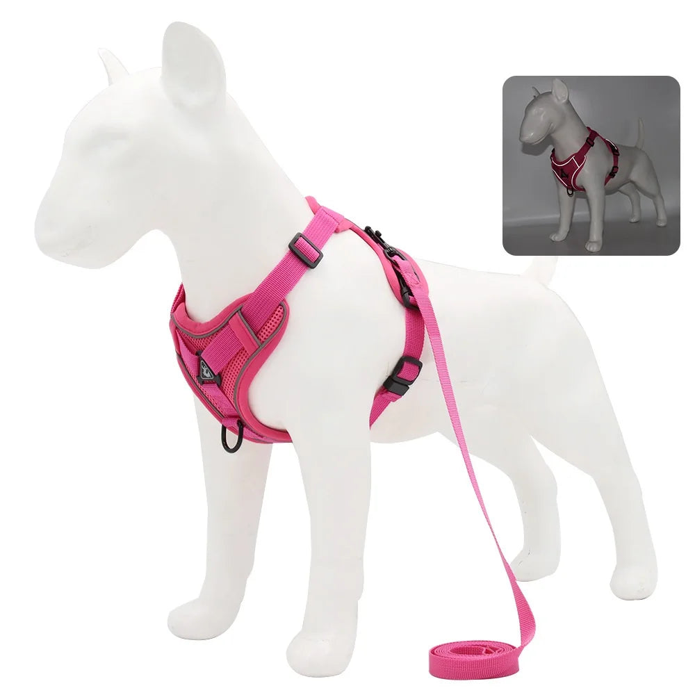 Ensemble harnais et laisse pour animaux – Harnais pour petits chiens
