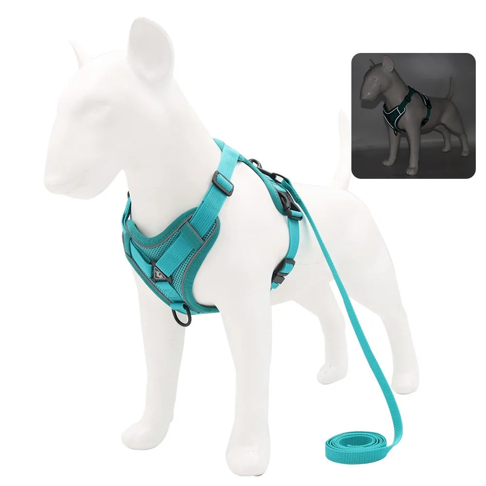 Ensemble harnais et laisse pour animaux – Harnais pour petits chiens