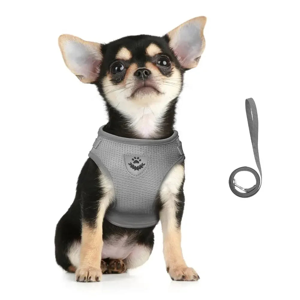 Ensemble harnais et laisse pour chat – Réglable, réfléchissant et anti-évasion – Harnais-gilet en maille respirante, collier pour chiot ou petit chien – Accessoires pour animaux