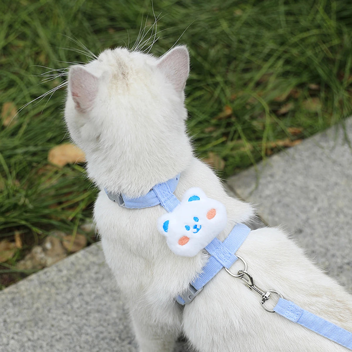 Ensemble harnais et laisse pour chat ou petit chien – Harnais réglable et respirant pour promenades