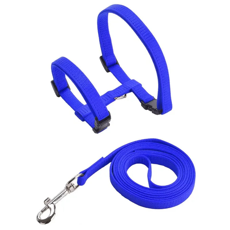 Ensemble harnais et laisse pour chaton – Harnais réglable en nylon anti-évasion pour chats, chiots et lapins – Accessoires pour animaux