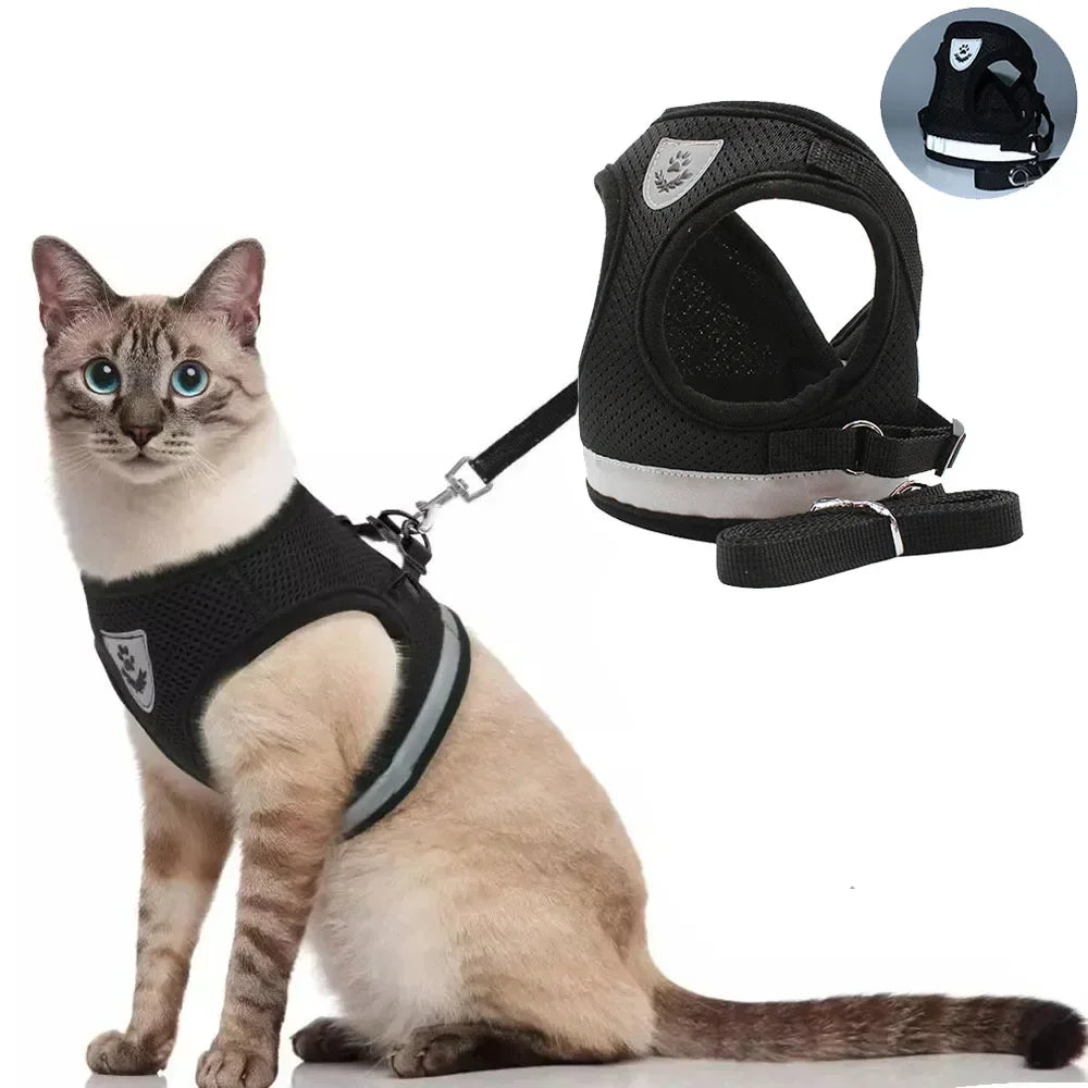 Ensemble harnais et laisse pour chat – Réglable, réfléchissant et anti-évasion – Harnais-gilet en maille respirante, collier pour chiot ou petit chien – Accessoires pour animaux