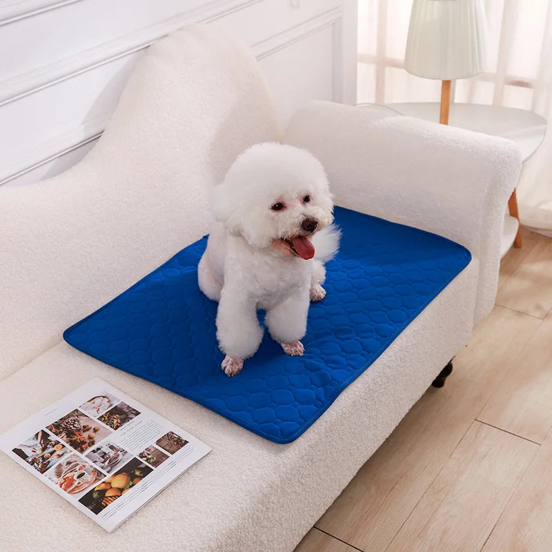 Alèse absorbante et réutilisable pour chien – Tapis d'apprentissage de la propreté lavable, tapis de sol ou protection de siège auto pour animaux