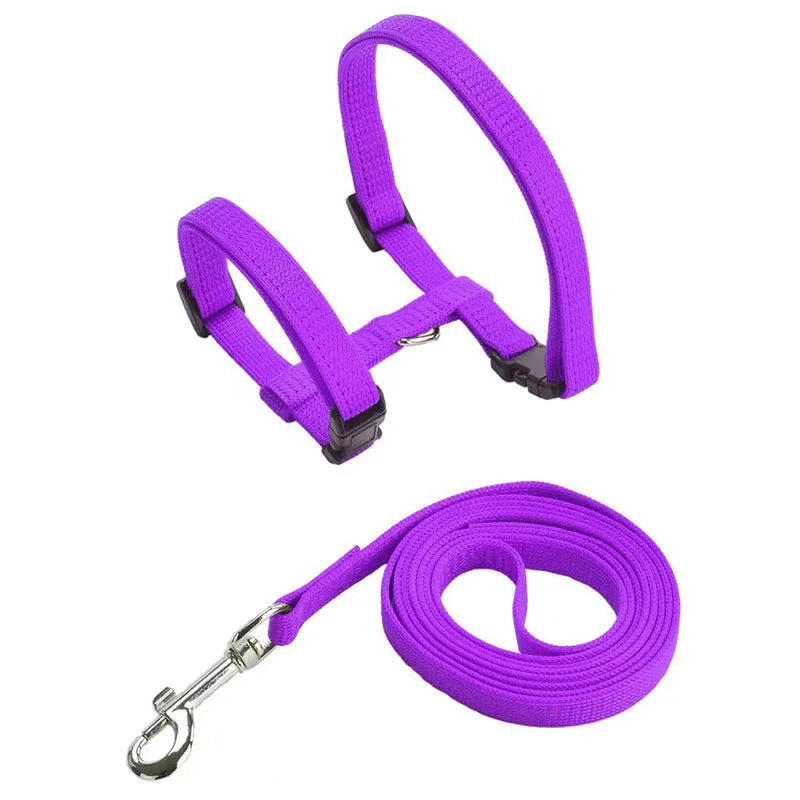 Ensemble harnais et laisse pour chaton – Harnais réglable en nylon anti-évasion pour chats, chiots et lapins – Accessoires pour animaux