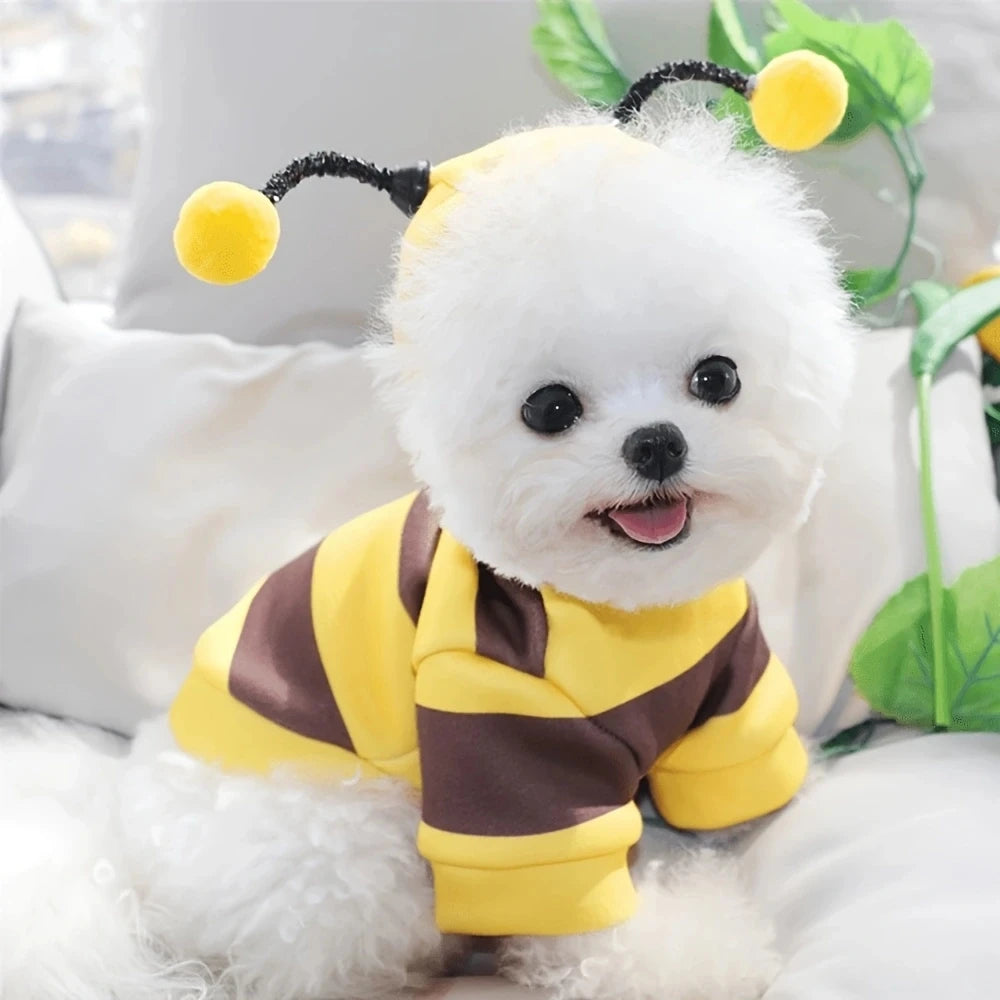 Costume d'Halloween pour animaux (chiens et chats) : sweat à capuche motif abeille – Tenue d'hiver pour petits et moyens animaux