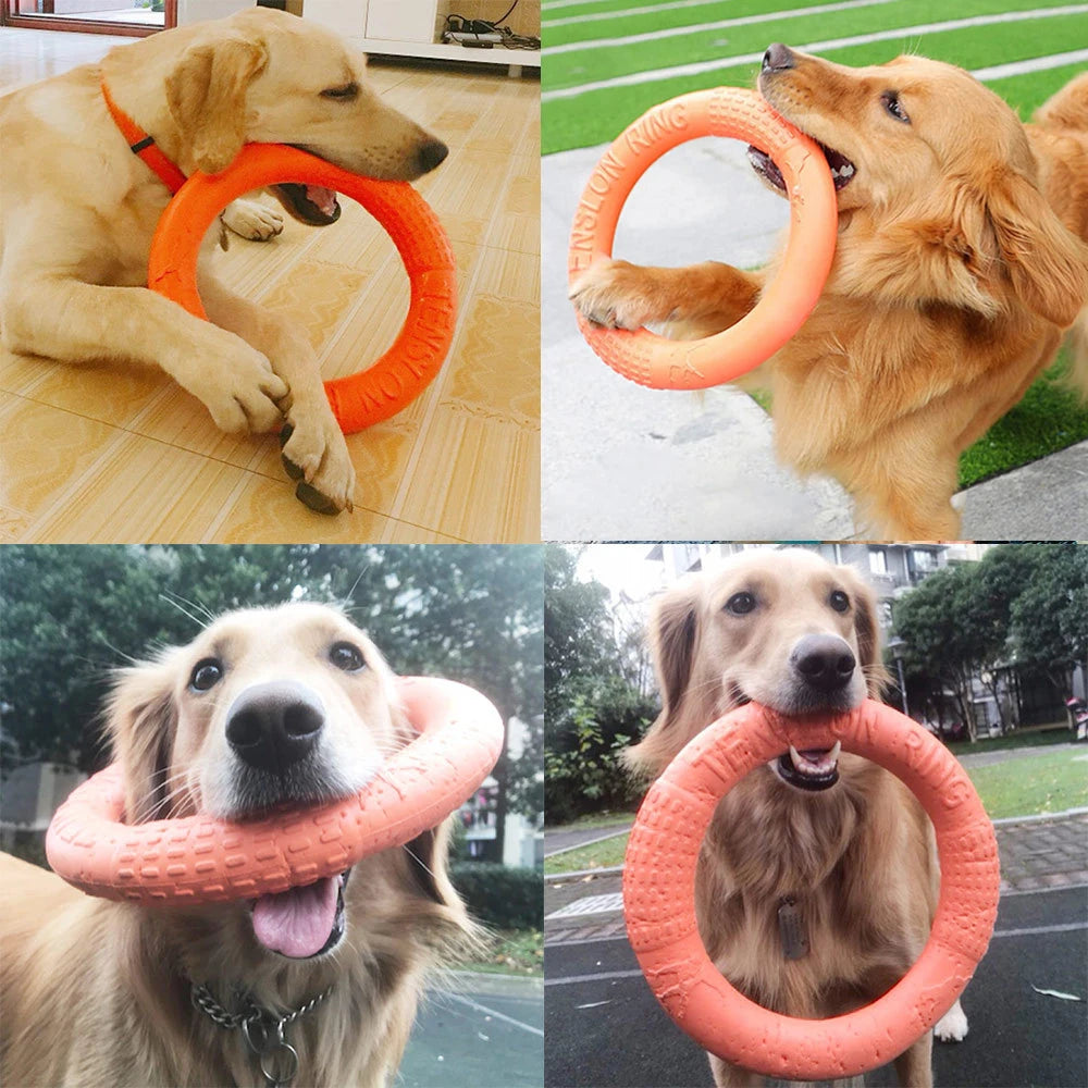 1 jouet orange pour chien – Anneau de traction volant et interactif en EVA pour le dressage, résistant