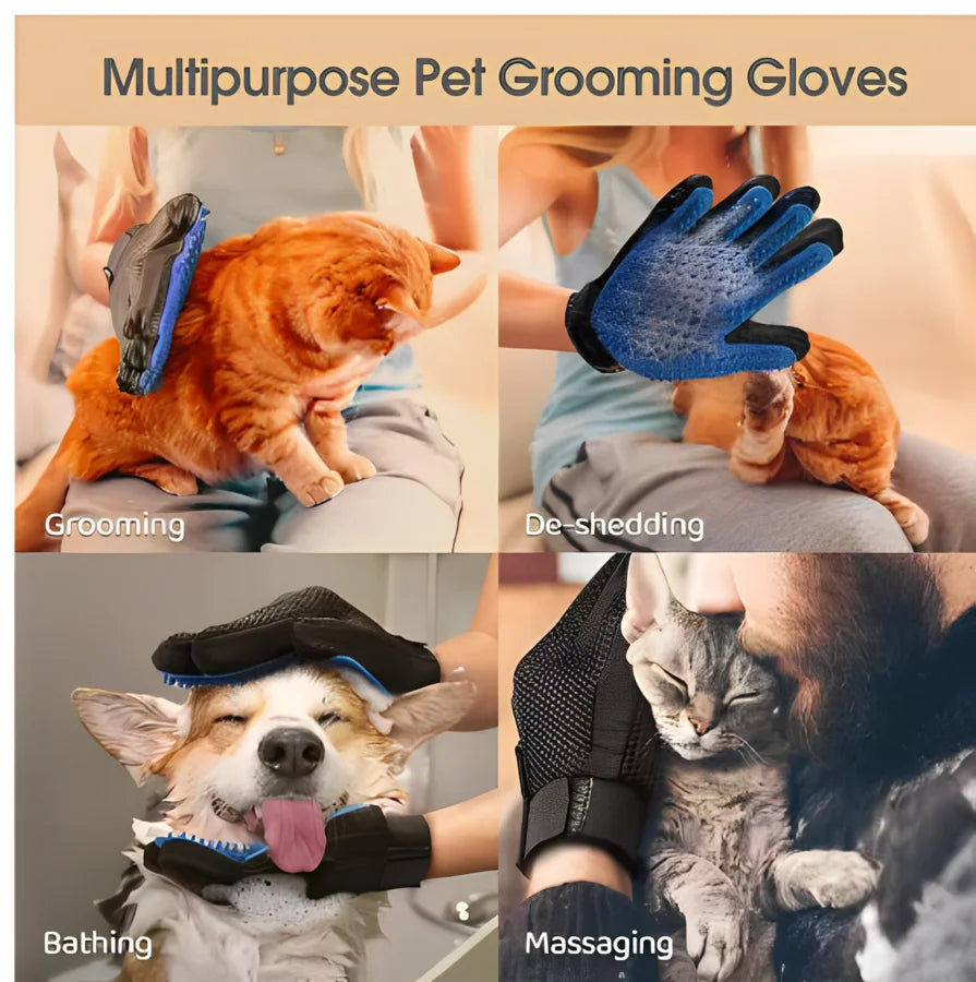 Gant de toilettage et de massage pour animaux (chiens et chats) – Élimination des poils morts, brosse de nettoyage et accessoire pour animaux