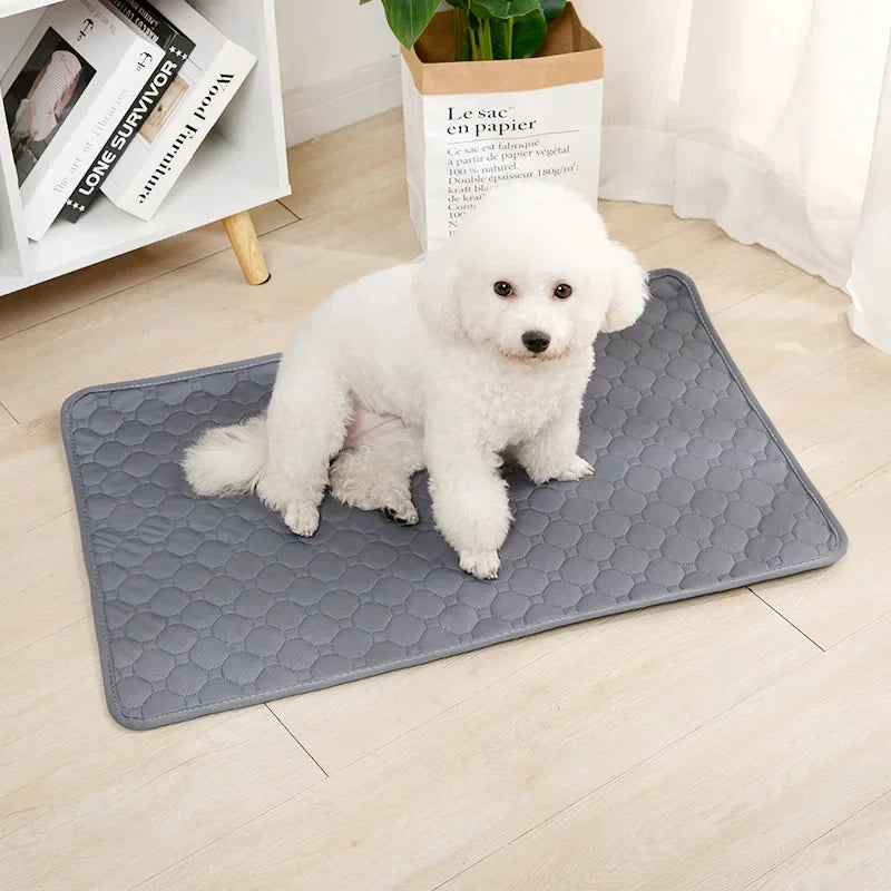 Alèse absorbante et réutilisable pour chien – Tapis d'apprentissage de la propreté lavable, tapis de sol ou protection de siège auto pour animaux