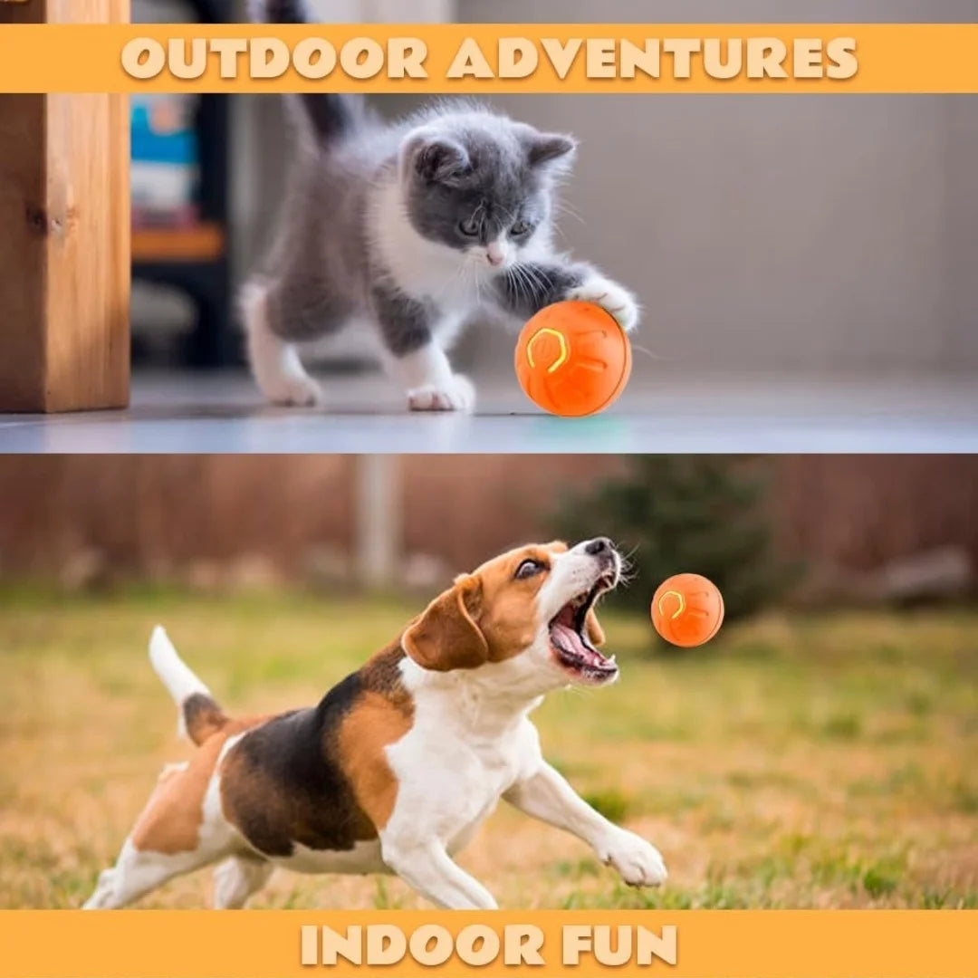 Jouet interactif pour animaux : balle électrique intelligente à rebond automatique (activée par gravité) pour chiens et chats